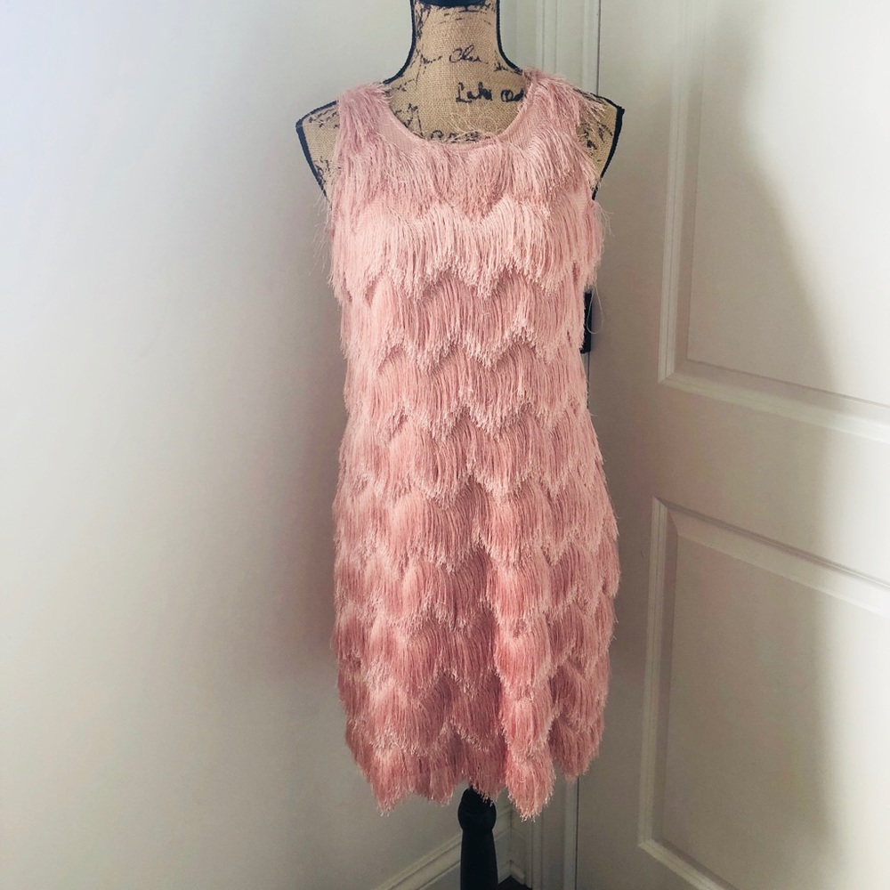 Pink Gianni Bini Flapper-esque Dress